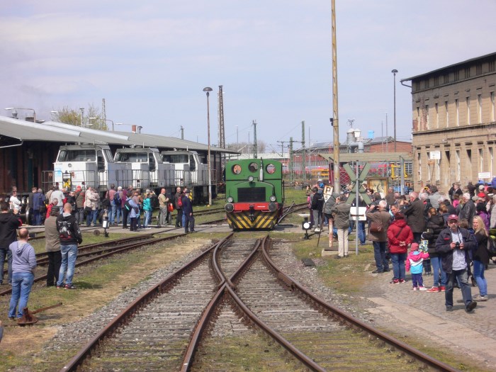 Large Image